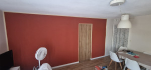 Photo de galerie - Pose d'une cloisons alvéolaire,plinthes et installation d'une porte coulissante et mise en peinture 