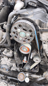 Photo de galerie - Changement de kit distribution et pompe a eau pour Audi A4 1.9tdi . 