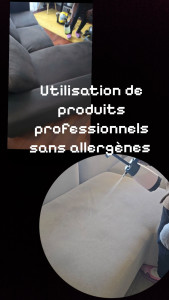 Photo de galerie - Pulvérisation des produits avant nettoyage .
