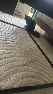 Photo de galerie - Ménage à domicile 