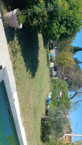 Photo de galerie - Après sans avoir ramasser