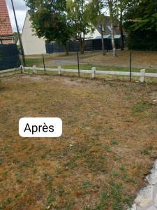 Photo de galerie - Elagage et coupe d'arbres