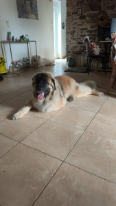 Photo de galerie - Le beau Hermes 