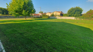 Photo de galerie - Tonte de pelouse - Débroussaillage