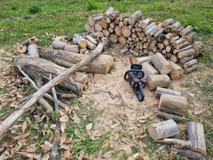 Photo de galerie - Coupe de bois de chauffage 