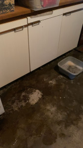 Photo de galerie - Ménage