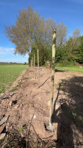 Photo de galerie - Pose poteau clôture 