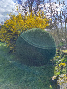 Photo de galerie - If boule tailler 