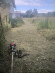 Photo de galerie - Tonte de pelouse - Débroussaillage