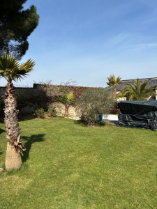 Photo de galerie - Entretien de jardin