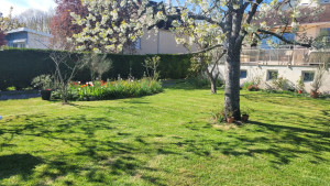 Photo de galerie - Jardin particulier