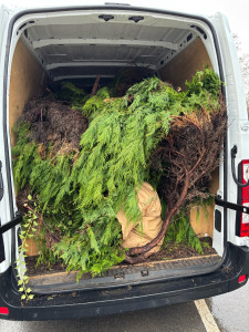 Photo de galerie - Chargement tuya après coupe chez un client 