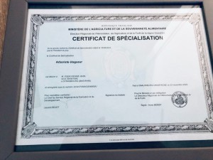 Photo de galerie - Certificat de spécialisation en Elagage 