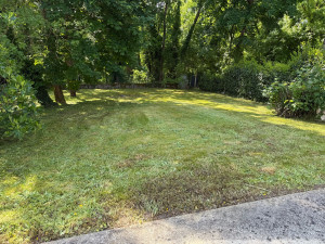 Photo de galerie - Tonte de pelouse - Débroussaillage