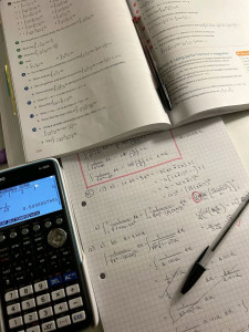 Photo de galerie - Cours de physique – aide aux devoirs et préparation examens. Explications pas à pas, exercices corrigés et accompagnement personnalisé. Disponible en présentiel ou à distance.