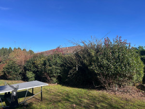 Photo de galerie - Taille de haies et d'arbustes