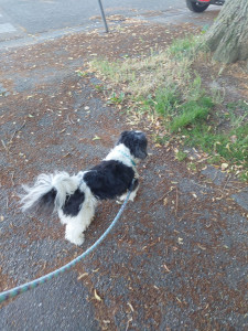 Photo de galerie - Balade sur Erstein en fin d'après-midi 