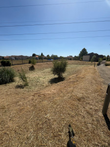 Photo de galerie - Après nettoyage d’un bassin 