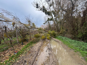 Photo de galerie - Avant chantier personne qui ma apeller en urgence 