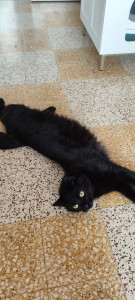 Photo de galerie - Adorable