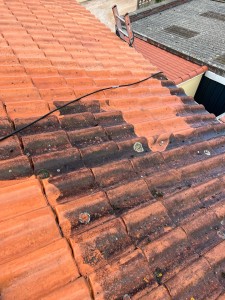 Photo de galerie - Nettoyage de toiture avec produits anti mousse 
