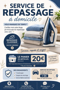Photo de galerie - Repassage à domicile 