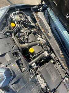 Photo de galerie - Distribution 