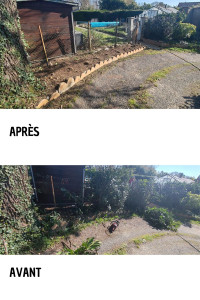 Photo de galerie - Entretien de haie 