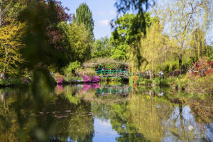 Photo de galerie - Photographe