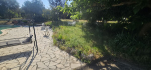 Photo de galerie - Tonte de pelouse - Débroussaillage