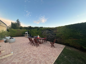 Photo de galerie - Taille de haies 