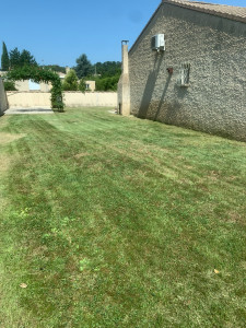 Photo de galerie - Jardinier