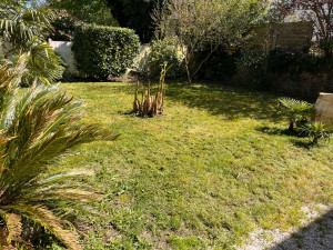 Photo de galerie - Tonte pelouse