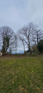 Photo de galerie - APRES 
remise en etat jardin 