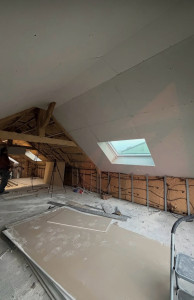 Photo de galerie - Banjo de plaquiste