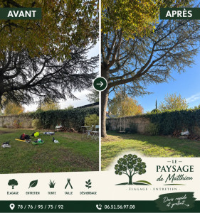 Photo de galerie - Taille de cohabitation voisinage 