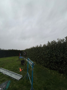 Photo de galerie - Taille de haies et d'arbustes