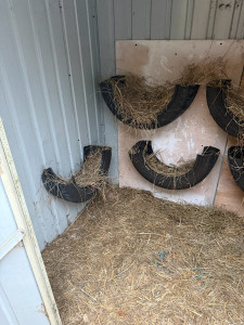 Photo de galerie - Aménagement d’un poulailler