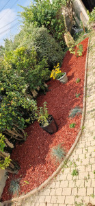 Photo de galerie - Parterre de fleurs