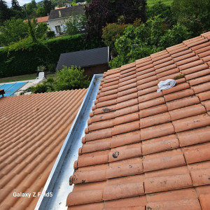 Photo de galerie - Technitoit ferret vous propose tous travaux de remplacement de chenaux en zinc sur mesure a leognan