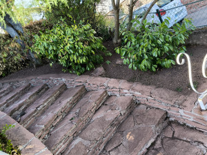 Photo de galerie - Nettoyage et retrait de mauvaise herbe sur l' escalier extérieur nettoyage et retrait de feuille morte 