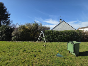 Photo de galerie - Rabattage d'une haies de laurier pyracantha et cotoneaster 