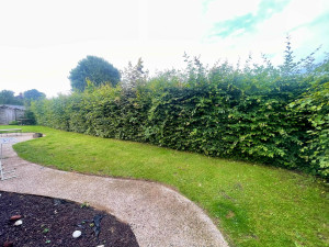 Photo de galerie - Taille de haies et d'arbustes