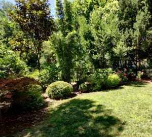 Photo de galerie - Tonte de pelouse terminé 
