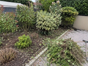 Photo de galerie - Un massif entretenu avec des déchets de taille.