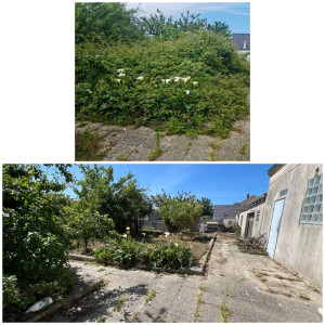 Photo de galerie - Débroussaillage 