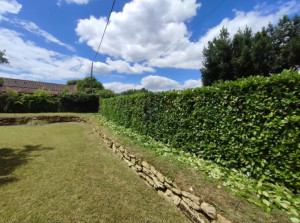 Photo de galerie - Tonte de pelouse - Débroussaillage