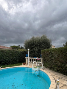 Photo de galerie - Taille de haies et d'arbustes