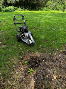 Photo de galerie - Rognage d’une souche 