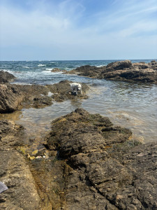 Photo de galerie - Journée, plage